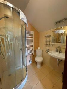 克雷尼察沙阿休憩旅馆的带淋浴、卫生间和盥洗盆的浴室