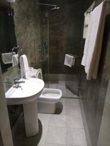 纳库鲁Brownies Deluxe的一间带水槽、卫生间和淋浴的浴室