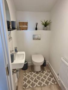 伊普斯威奇Modern 2bedroom House in Ipswich Suffolk的浴室配有白色卫生间和盥洗盆。