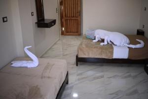 阿斯旺Kana Kato的一间设有两张床的客房,里面摆放着猫雕像