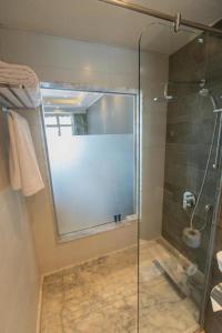沙姆沙伊赫Naama Bay Hotel & Resort的带淋浴的浴室和玻璃门