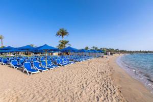 沙姆沙伊赫Naama Bay Hotel & Resort的海滩上设有椅子和蓝色遮阳伞,还有大海