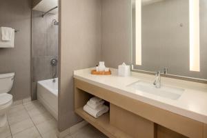 圣克鲁兹帕拉多克斯酒店的一间带水槽、卫生间和镜子的浴室