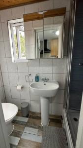 埃德蒙顿Palaz 8 - One Bedroom Flat的一间带水槽、卫生间和镜子的浴室