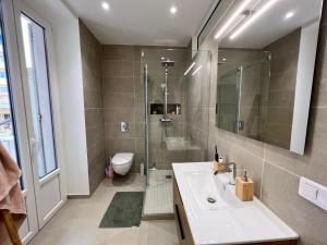 尼斯Le Riquier - Port de Nice的带淋浴、盥洗盆和卫生间的浴室