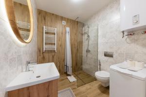 乌日霍罗德Luxury Apartments CITY的一间带水槽、淋浴和卫生间的浴室
