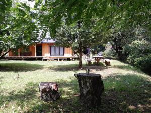 Sremska KamenicaNica Wood的小木屋设有野餐桌和两棵树
