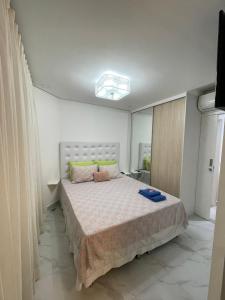桑托斯Residencial Estanconfort Santos的一间卧室,卧室内配有一张大床