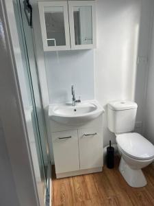 卧龙岗Sweet Cute blue tiny home with Pool and 2 minute drive to the beach的白色的浴室设有卫生间和水槽。