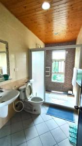 Shan-lin登雲villa的一间带卫生间、水槽和窗户的浴室