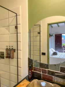 贾丁Hotel Casa Dulces del Jardín的浴室墙上设有镜子