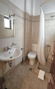 卡拉维塔Lithos Villas Kalavryta的一间带水槽、卫生间和淋浴的浴室