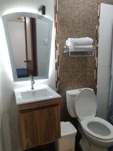 LambayequeLa Posada Norteña的一间带水槽、卫生间和镜子的浴室
