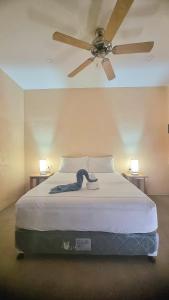 PoocTiki Bantayan Cebu Tourist Inn Inc的一间卧室配有一张带吊扇的床