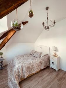 瓦讷Les Suites du 119的一间卧室配有一张床和一个吊灯