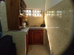 SunyaniKingee Lodge的一个带水槽和柜台的小厨房