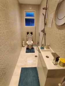 沃特福德House with great location near Harry Potter studio的浴室配有卫生间、盥洗盆和淋浴。