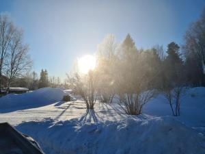 Mattmar vila的雪中,阳光照耀着树
