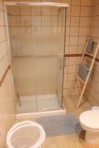 下布雷尼亚Mary (A): Confort y playa.的一间带卫生间的浴室内的玻璃淋浴间