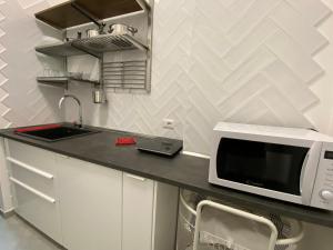 佩罗My Red at Milano Mind的厨房柜台配有微波炉和水槽