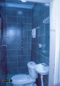 BueaCloudHill的蓝色瓷砖浴室设有卫生间和水槽