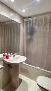 马德里Samaniego suite, AirPort, ifema turístico的一间带水槽、淋浴和卫生间的浴室