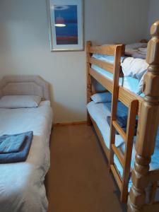蒙特罗斯Ivy Cottage的一间卧室设有两张双层床和梯子