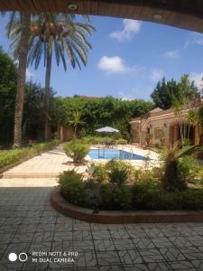 亚历山大VillaJouda的一座棕榈树和房子的游泳池