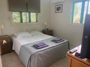普罗塔拉斯Konnos Villa的一间卧室配有一张床,上面有两条毛巾