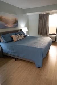 默特尔比奇Sunny Seaside Escape Perfect for Couples的一间卧室配有一张带蓝色毯子的大床