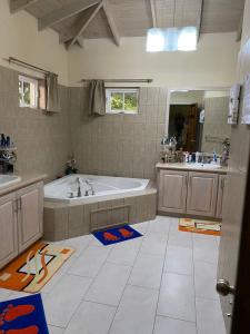 Lance aux ÉpinesSweet Home Grenada Caribbean的带浴缸和盥洗盆的大浴室