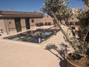 马拉喀什Dar d'Art的一座带游泳池的庭院,位于一座树屋中