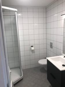 奥普达尔Leilighet i Oppdal - 4 soverom, 2 stuer og 2 bad的带淋浴、卫生间和盥洗盆的浴室