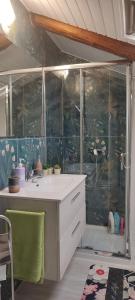 锡巴里Casa vacanze NONNA ANTONIETTA的带淋浴的浴室(带白色台面)
