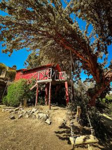 科帕卡巴纳Hostal Sol y Lago的树下摆着秋千的红色结构