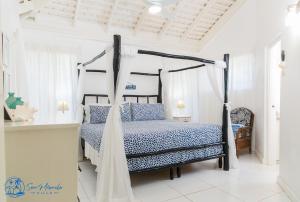 银沙Sea Miracle Villa/Beach Cottage的一间卧室配有一张带天蓬的床