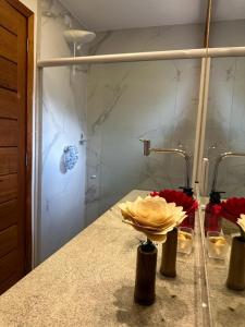 巴拉格兰德Condominio Viva Barra的浴室设有1个带水槽和淋浴的台面