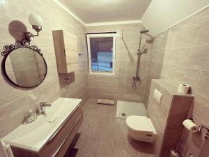 克拉尼斯卡戈拉Apartment and rooms Maraton的一间带水槽、卫生间和镜子的浴室