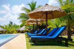 卡尔皮蒂耶Palagama Beach Resort的游泳池旁的伞下一排蓝色躺椅