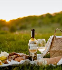 凯阿玛SALTY SOUL KIAMA - Tiny House By the Ocean的一瓶葡萄酒和一杯野餐毯上的酒
