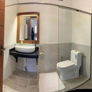 哈顿Tailors Cottage的一间带水槽、卫生间和镜子的浴室