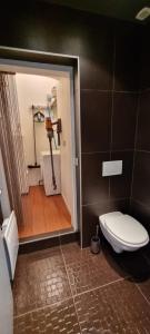 安锡Appartement de charme au cœur de la vieille ville的客房内的浴室设有卫生间和淋浴。