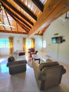 Oracabessa绿宫牙买加酒店的带沙发和平面电视的客厅