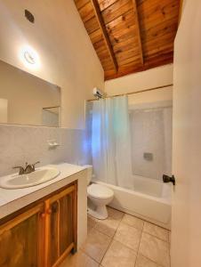 Oracabessa绿宫牙买加酒店的浴室配有盥洗盆、卫生间和浴缸。