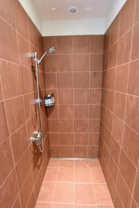 EzingeDe Kinkhoorn的带淋浴的浴室和棕色瓷砖墙壁