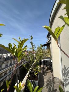 斯特拉斯堡Maison LUTETIA R的一座植物建筑的阳台