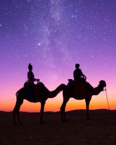 BadīyahAl Salam Desert Camp Bidiya的两个人骑着骆驼在沙漠中,在星空下