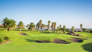 圣米格尔德阿沃纳Apartamento Golf del Sur的享有棕榈树高尔夫球场的景色