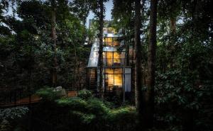 峇冬加里The Estate Hulu Rening - Private Retreat Cabin的森林中的一个树屋