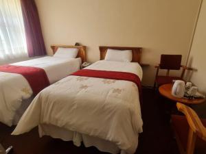 马塞卢Mmelesi Lodge的酒店客房设有两张床和一张桌子。